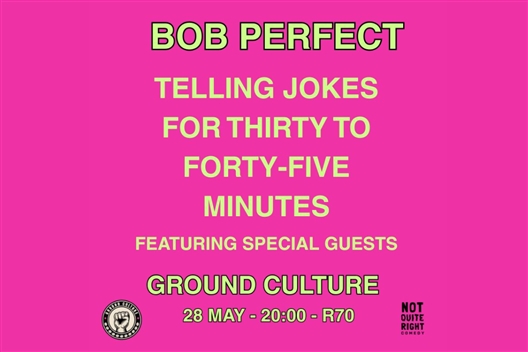 Bob Perfect Solo Show